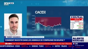 Thèmes d'investissement : comment investir dans les animaux de compagnie en Bourse ? - 24/02