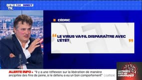 Le coronavirus va-t-il disparaître avec l'été ? BFMTV répond à vos questions