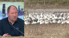 Canards des Landes abattus: "c'est une mesure qu'on a demandée le 20 décembre"