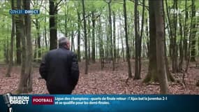 "Toi, tu vas aller à Notre-Dame", des forestiers déjà prêts à donner un chêne pour reconstruire la charpente