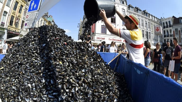 Comme chaque année, plusieurs tonnes de coquilles seront alors déposées devant les restaurants. (Image d'illustration)
