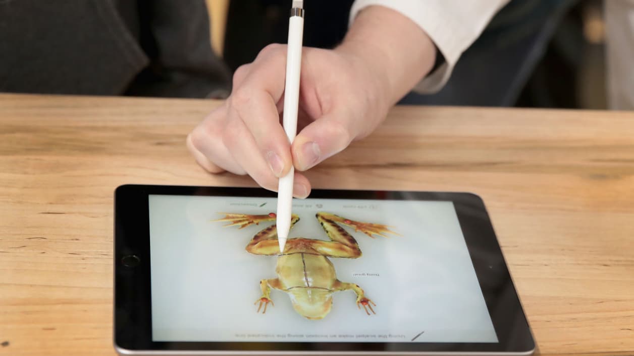 Froggipedia avait été utilisée pour la présentation des iPad le 27 mars 2018 Froggipedia avait été utilisée pour la présentation des iPad le 27 mars 2018