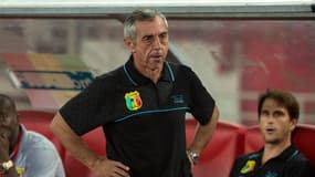 Alain Giresse