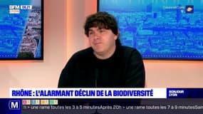 Biodiversité: selon la LPO, "on brûle notre maison pour faire chauffer notre dîner"