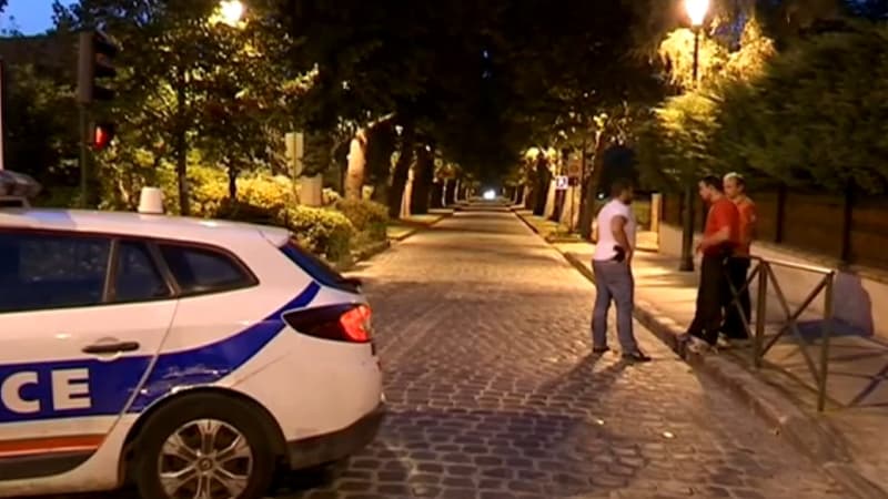 C'est près de cette allée, dans un coin isolé du parc de la Poudrerie à Sevran, que la jeune femme a été sauvagement poignardée lundi soir.