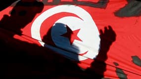 La France a entamé lundi son autocritique sur le soutien qu'elle a apporté jusqu'à la dernière minute au régime de l'ancien président tunisien Zine el Abidine Ben Ali pour des raisons politiques et économiques. /Photo prise le 15 janvier/REUTERS/Zohra Ben
