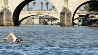 Un habitant nage dans la Seine, à Paris, le 17 juillet 2024