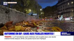 Paris: les cyclistes face à l'automne