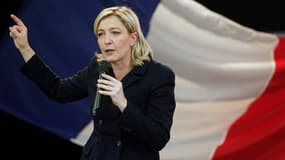 Marine Le Pen, vice-présidente du Front national dont elle pourrait prendre la tête ce week-end, fait l'objet d'une enquête préliminaire pour "incitation à la haine raciale", pour avoir comparé la présence de musulmans priant dans la rue à l'Occupation. /