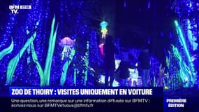 Zoo de Thoiry : visites uniquement en voiture - 29/12