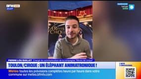 La Seyne-sur-Mer: un éléphant animatronique à découvrir lors d'un spectacle de cirque