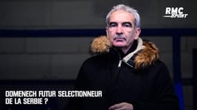 Domenech futur sélectionneur de la Serbie ?