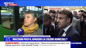 "Le gouvernement n'a pas agi pour protéger et accompagner les agriculteurs. Il ne s'est rien passé en un an", déclare Laurence Marandola, porte-parole de la Confédération Paysanne