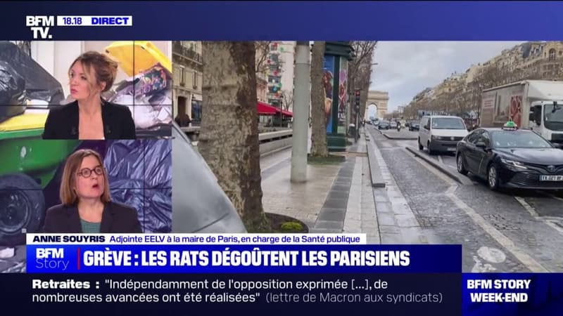 Déchets à Paris: selon Anne Souyris, la mairie de Paris peut faire appel à des sociétés privés 