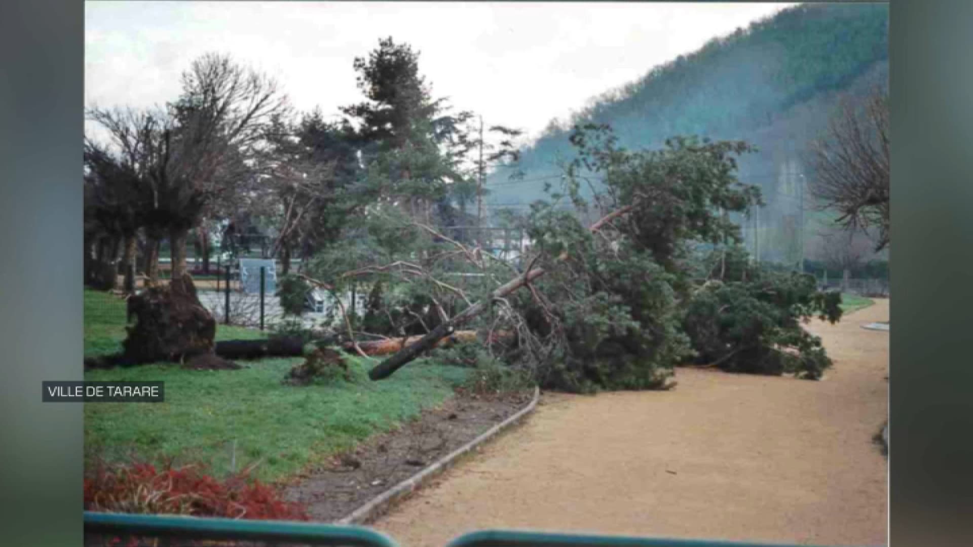 Les dégâts à Tarare (Rhône) après le passage de la tempête du siècle le 26 décembre 1999. Les dégâts à Tarare (Rhône) après le passage de la tempête du siècle le 26 décembre 1999.