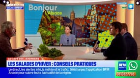 Les conseils pratiques sur les salades d'hiver sont au menu du Café des jardiniers 