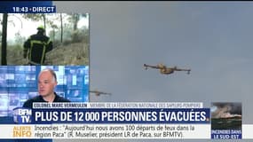 Incendies dans le Sud-Est: 12 000 personnes évacuées à Bormes-les-Mimosas