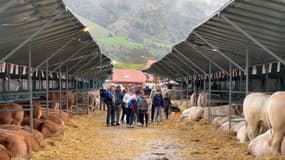 Des visiteurs au 6e salon de l'élevage haut-alpin à Ancelle (Hautes-Alpes) le dimanche 4 mai 2025