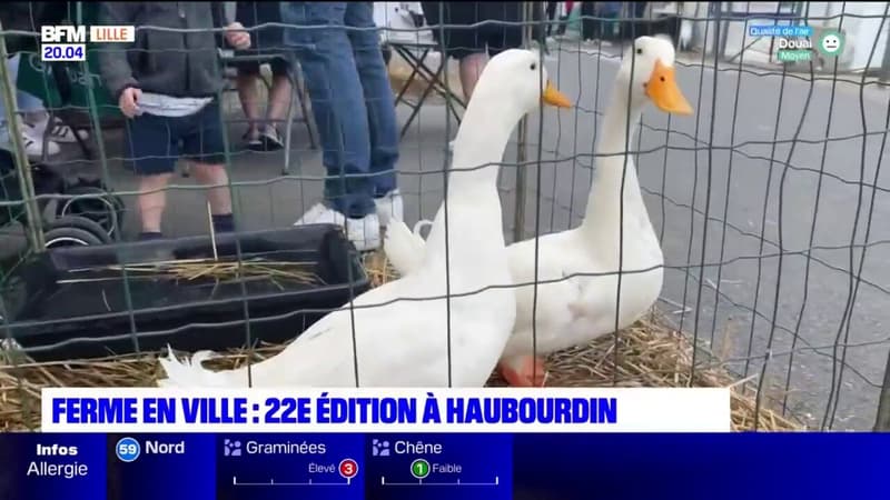 Haubourdin: l'agriculture s'invite au cœur de la ville avec la 22e édition de Ferme en ville