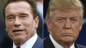 Arnold Schwarzenegger et Donald Trump. 