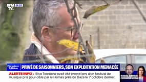 Privé de saisonniers, ce verger de la Sarthe est menacé