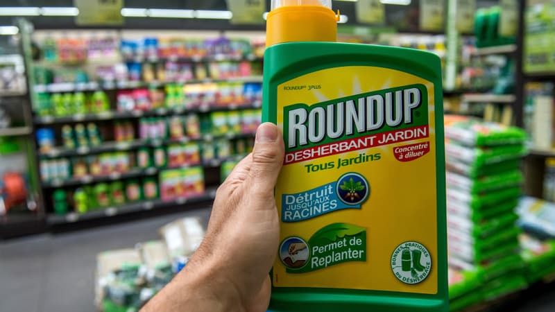 Une bouteille de Roundup, produit de Monsanto contenant du glyphosate, le 15 juin 2015 dans une jardinerie de Lille (photo d'illustration)