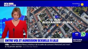 Lille: deux hommes interpellés après des vols et une agression sexuelle samedi soir