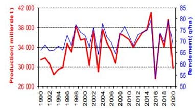 La production de blé tendre est estimée à 29,7 millions de tonnes (-24,9 % par rapport à 2019 et -15,9% par rapport à la moyenne 2015-2019). La production de blé tendre est estimée à 29,7 millions de tonnes (-24,9 % par rapport à 2019 et -15,9% par rapport à la moyenne 2015-2019).