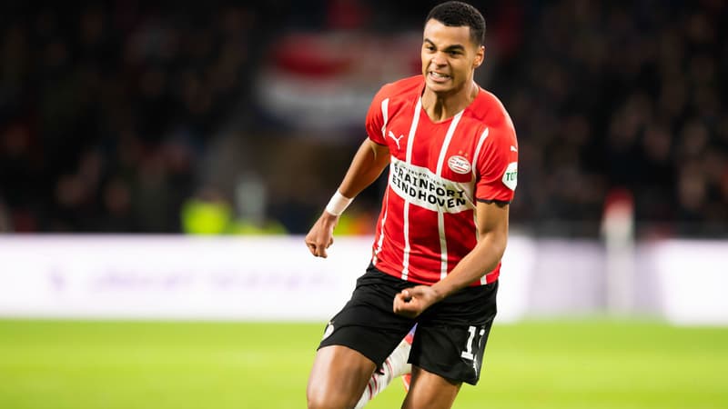 Cody Gakpo - PSV Eindhoven