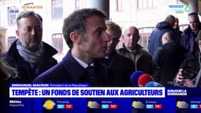 Tempête Ciaran: un fonds de soutien aux agriculteurs