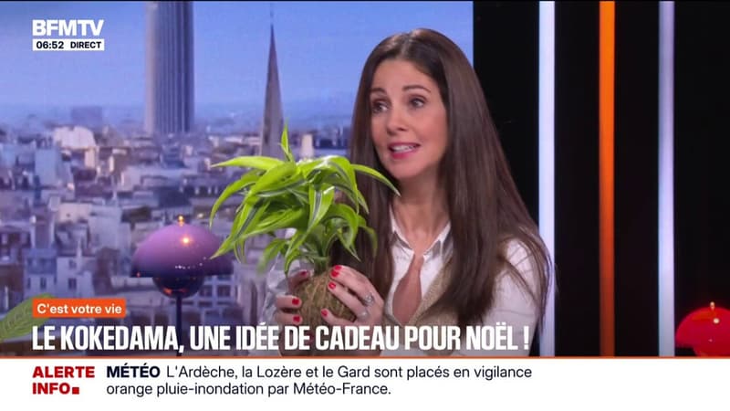 Le kokedama, une plante sans pot qui peut faire une idée de cadeau de Noël