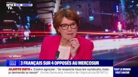 Pour la ministre de l'Agriculture Annie Genevard, l'accord avec le Mercosur est "mauvais pour l'agriculture française" et pour "la santé des Français"
