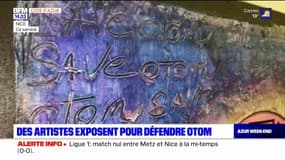 Nice: des artistes exposent des œuvres pour défendre le street artiste Otom, accusé de meurtre aux Seychelles