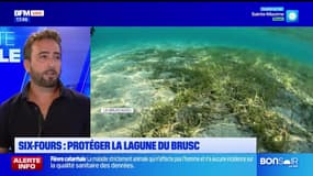 Planète locale du mercredi 18 septembre - Six-Fours : protéger la lagune de Brusc