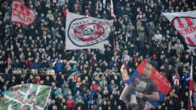 Les bouillants supporters de l'Etoile Rouge de Belgrade