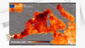 La température de la Méditerranée anormalement élevée