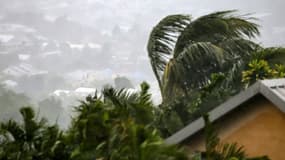 Les vents allaient s'intensifiant, le 28 février 2025 à La Possession, juste avant l'arrivée du cyclone Garance sur l'île de La Réunion, dans l'océan Indien
