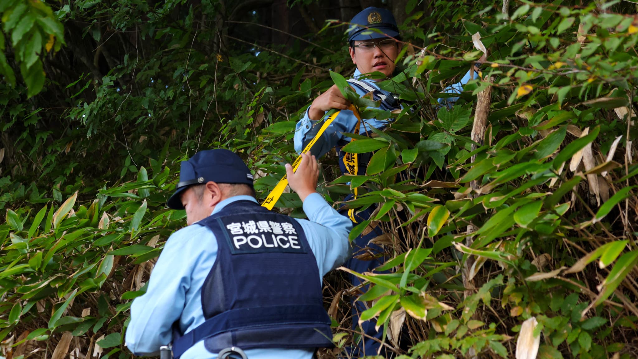 DEUX PERSONNES MEURENT À LA SUITE D'ATTAQUES IMPUTÉES À DES OURS AU JAPON