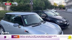 Drogue/Suspension du permis : qu'en pense les Français ? 