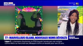 Seine-et-Marne: le festival Marvellous Island dévoile de nouveaux noms