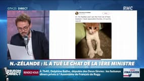 En Nouvelle-Zélande, un voisin avoue avoir tué le chat de la Première ministre