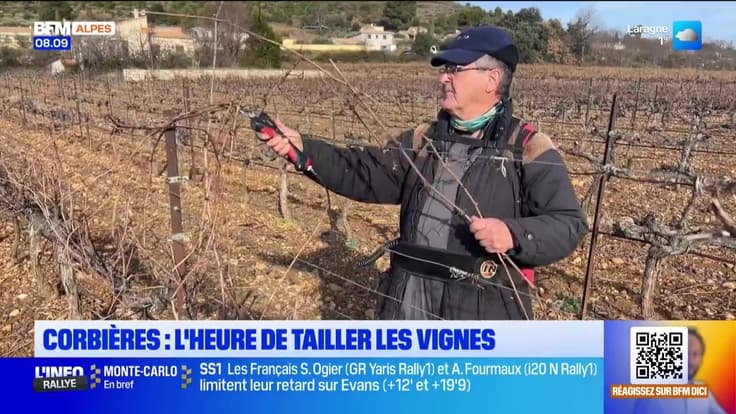 Le journal de 8h du vendredi 23 janvier 2026