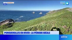 Passions Provence du samedi 1er mars 2025 - Porquerolles en hiver : la période idéale