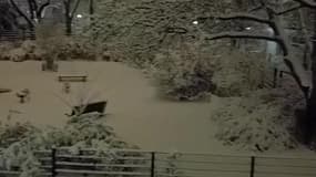 Neige à Massy, en Essonne - Témoins BFMTV