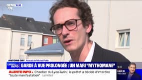 Garde à vue de Michel Pialle: l'avocat du mari de Karine Esquivillon assure que son client "est combatif"