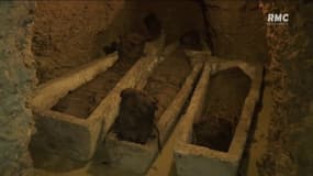 Des momies de plus de 2000 ans dévoilées en Egypte
