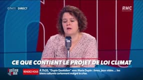 Projet de loi "Climat et Résilience" : "On est déçu de voir autant de nos propositions amoindries", regrette une citoyenne de la Convention climat