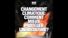 Comment mieux protéger l'agriculture face au changement climatique ?