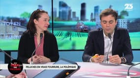 Au pays d'Hollande: La vente de peluches en vraie fourrure fait polémique - 06/01