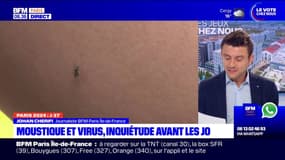 JO 2024: inquiétude autour des virus portés par les moustiques, un risque avec les nombreux visiteurs attendus à Paris